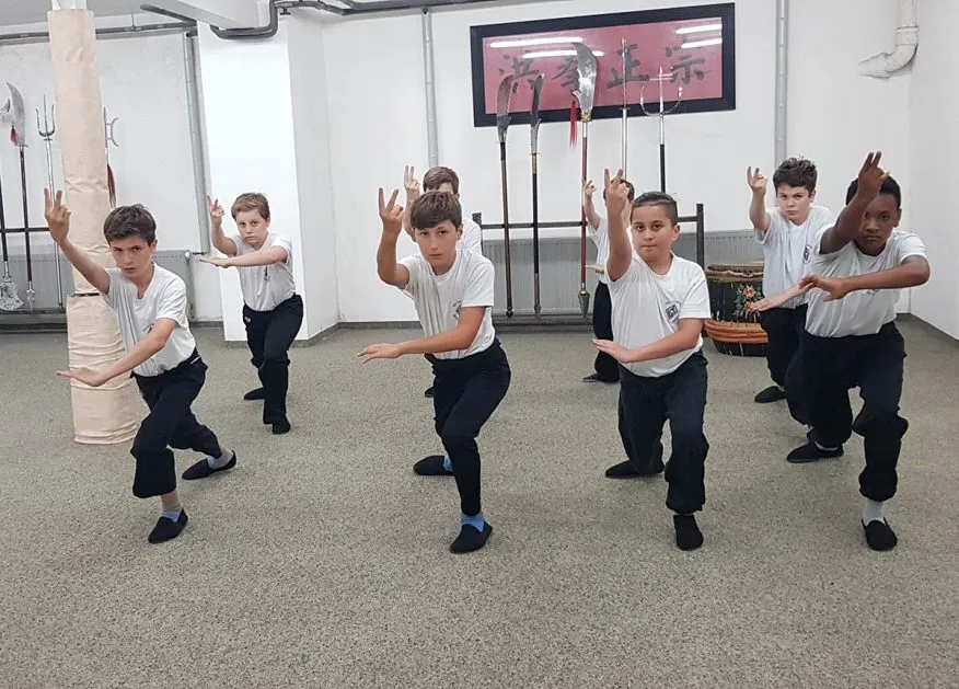 Kung Fu für Kinder in der Nähe